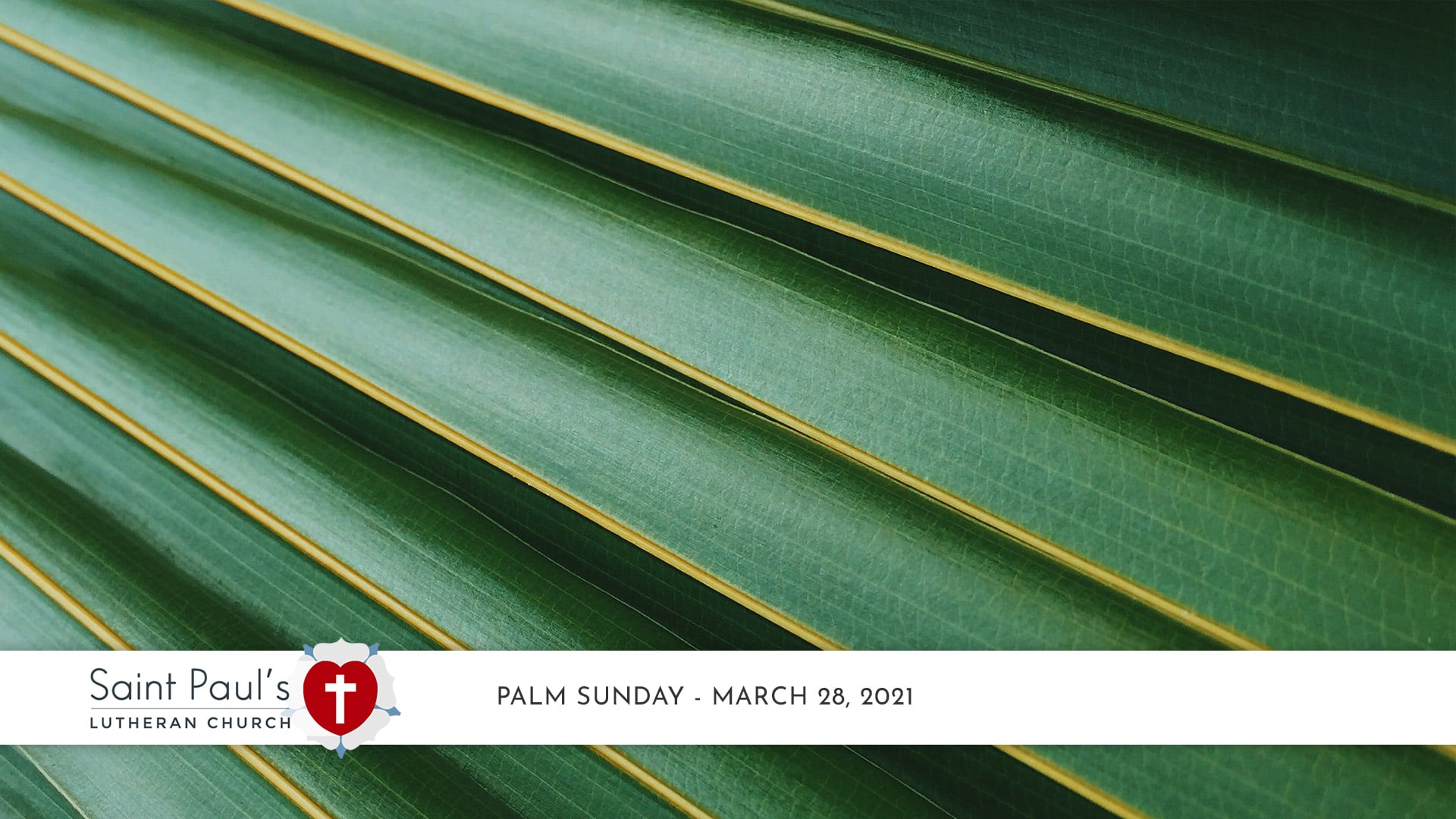 Palm Sunday – March 28, 2021