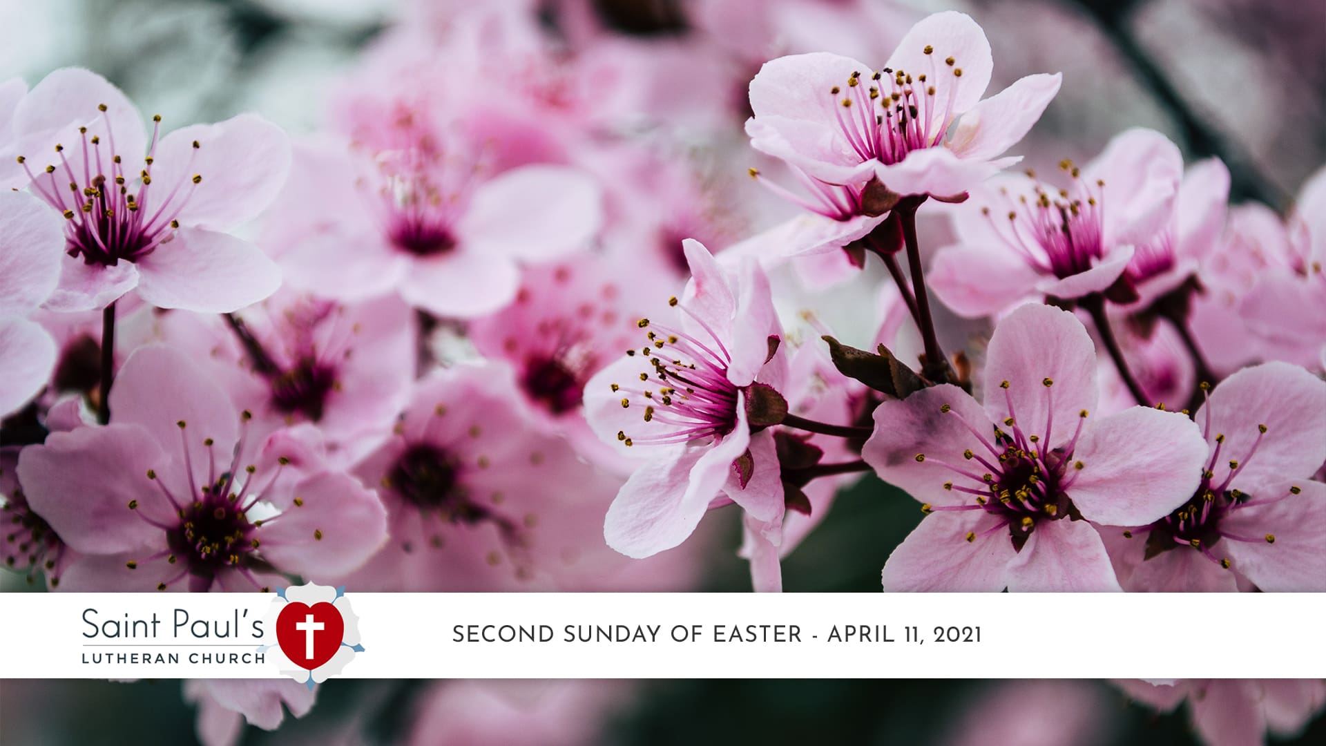 Second Sunday of Easter Service – April 11, 2021