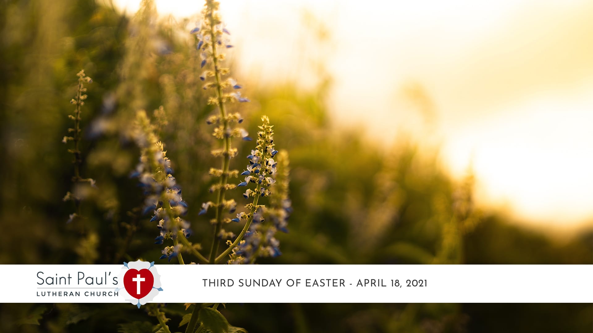 Third Sunday of Easter Service – April 18, 2021