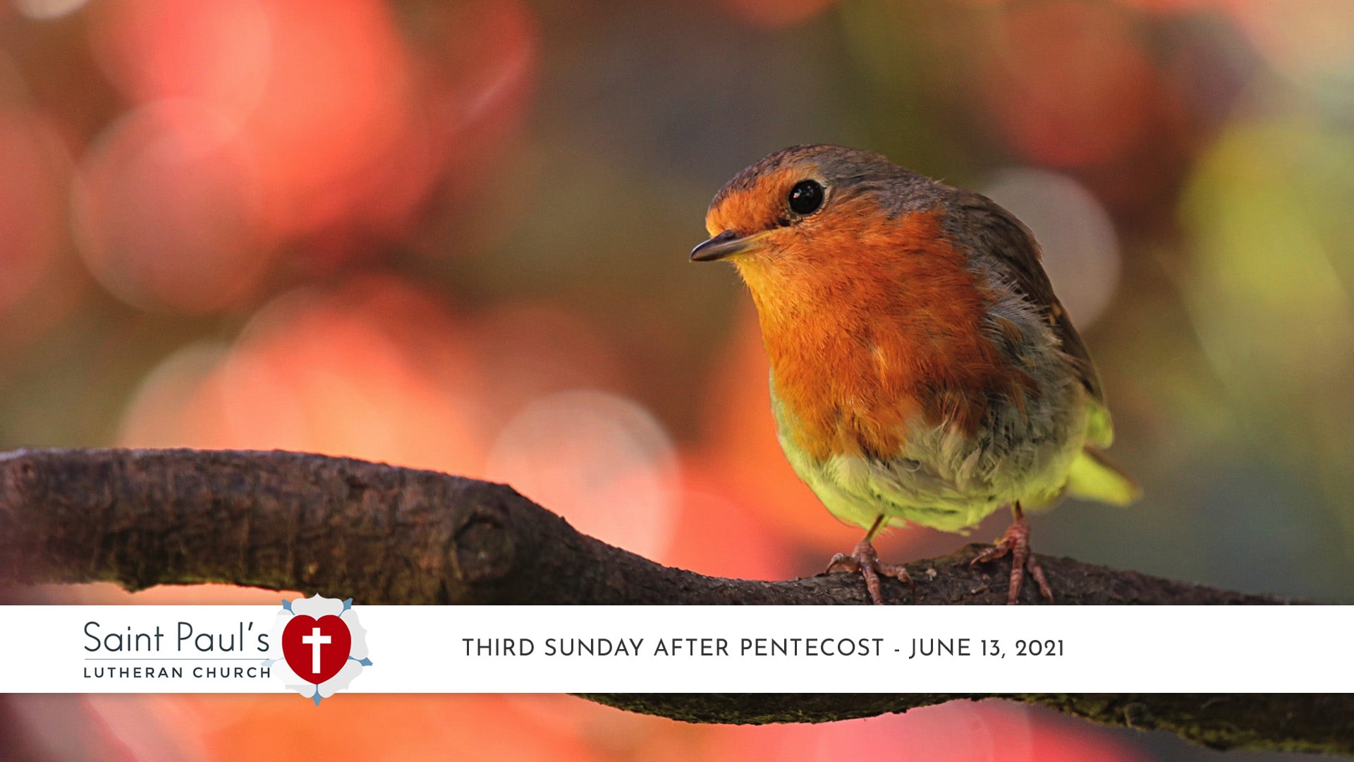 Third Sunday after Pentecost – June 13, 2021