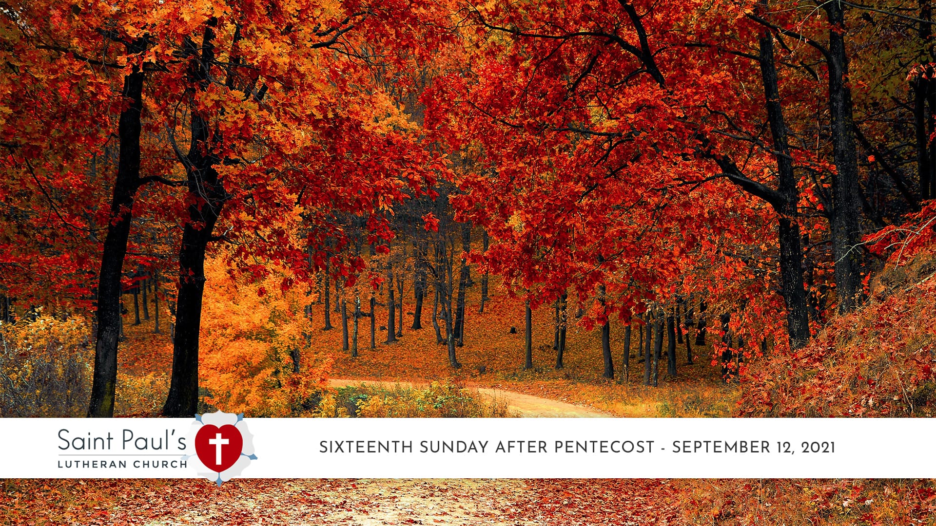 Sixteenth Sunday after Pentecost | Sermon – September 12, 2021